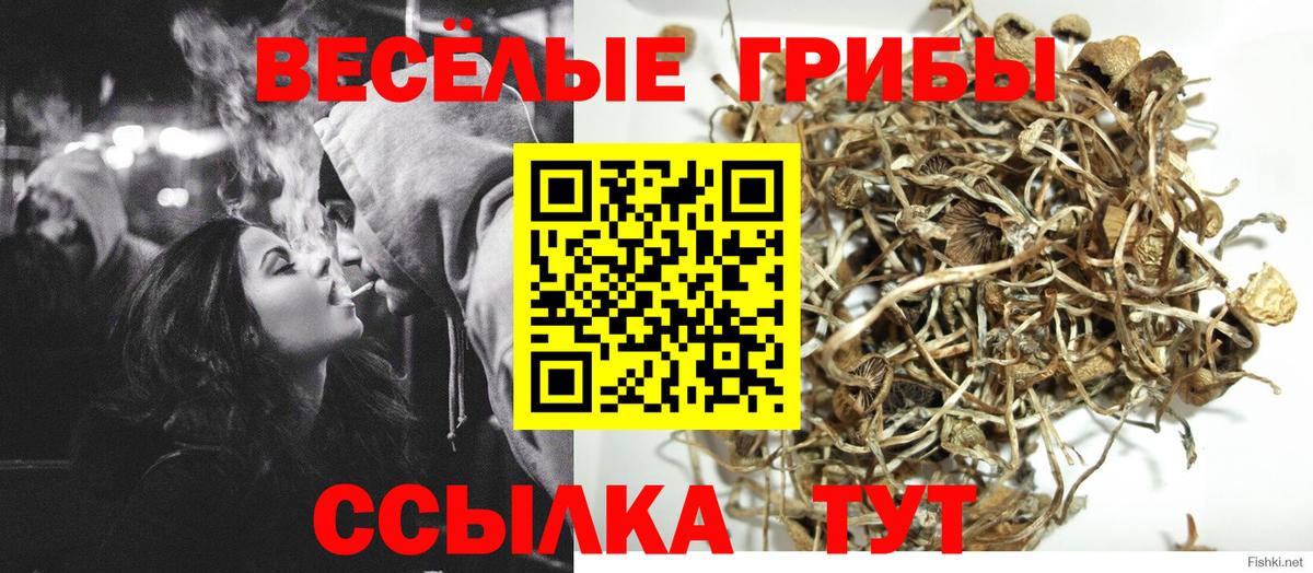 Псилоцибиновые грибы Magic Shrooms Бор