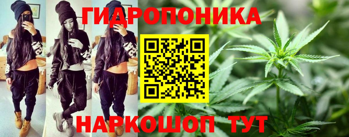 МАРИХУАНА OG Kush Бор
